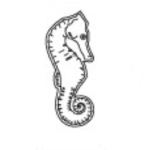 OR 24 K certifié – 999,9 ‰